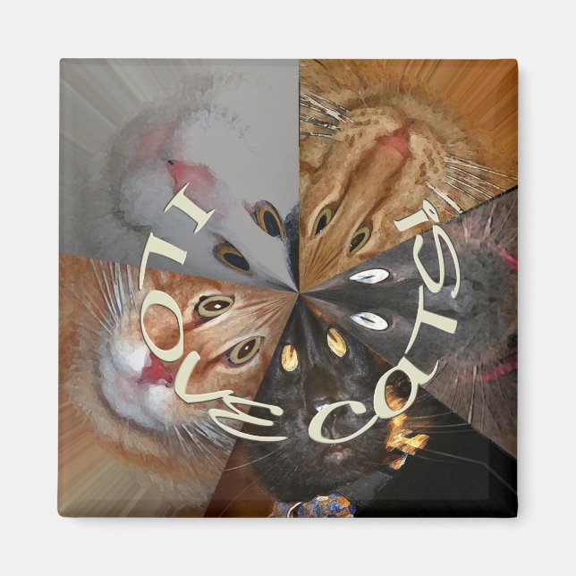 Amo el imán de los gatos (Frente)