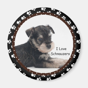 Amo el imán de los Schnauzers