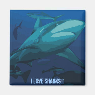 Amo el imán de los tiburones