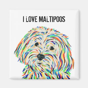 Amo el imán de Maltipoos