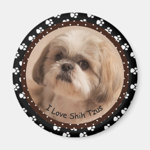 Amo el imán de Shih Tzus