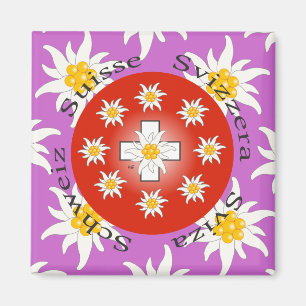 Amo el imán de Suiza