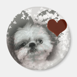 Amo el imán del refrigerador de Shih-Tzus