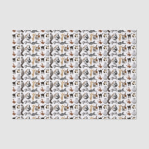 Amo el papel seda de los gatos