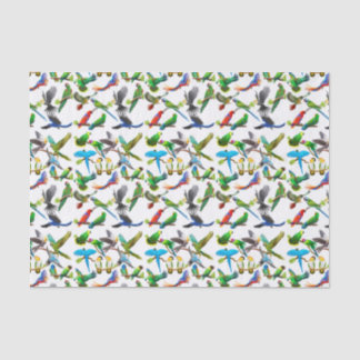 Amo el papel seda de los loros