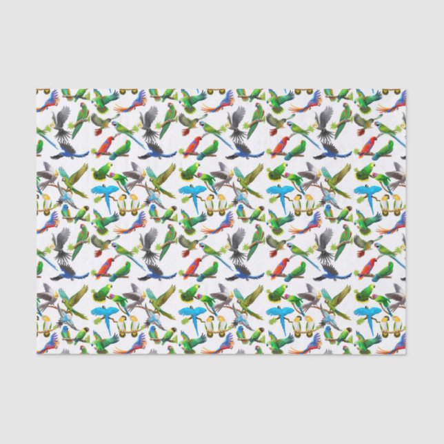 Amo el papel seda de los loros (Anverso)