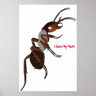 Amo el póster de mi tía