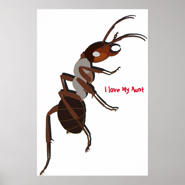 Amo el póster de mi tía (Frente)