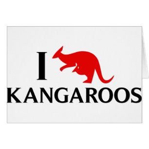Amo KangaROOS