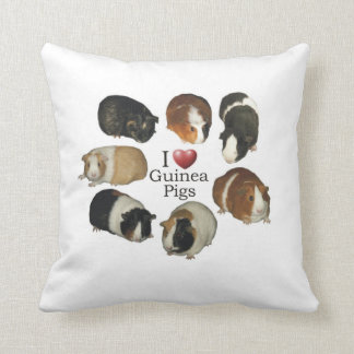 Amo la almohada de los conejillos de Indias