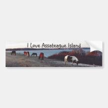 Amo la isla de Assateague - pegatina para el
