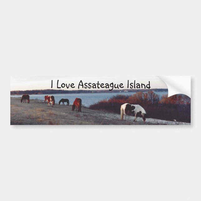 Amo la isla de Assateague - pegatina para el (Frente)