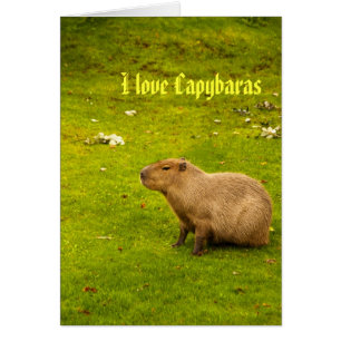 Amo la tarjeta capybaras