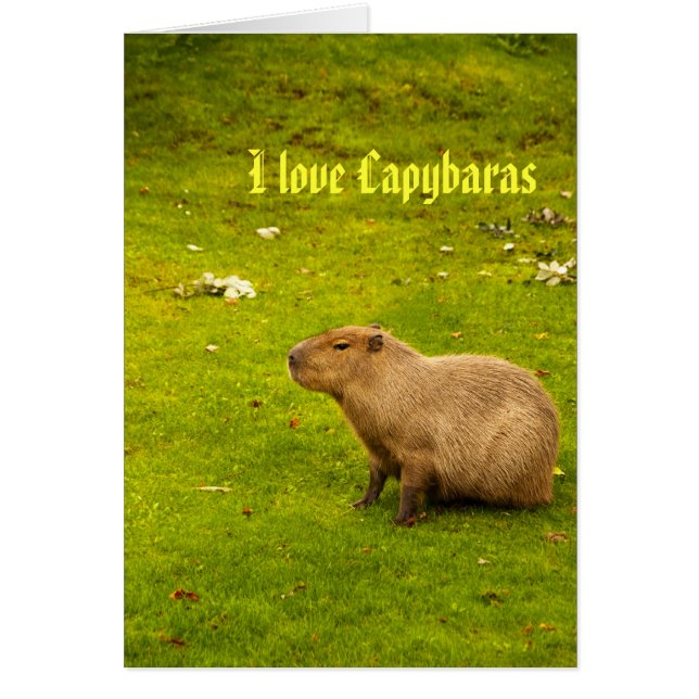 Amo la tarjeta capybaras (Frente)