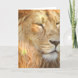 Amo la tarjeta de saludo de los leones