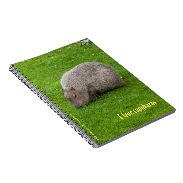 Amo las libretas de carpinchos (Lado Derecho)
