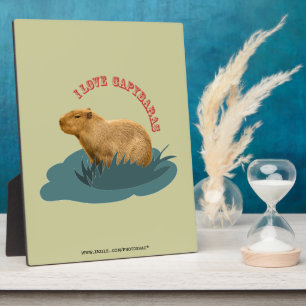 Amo las placas de capybaras