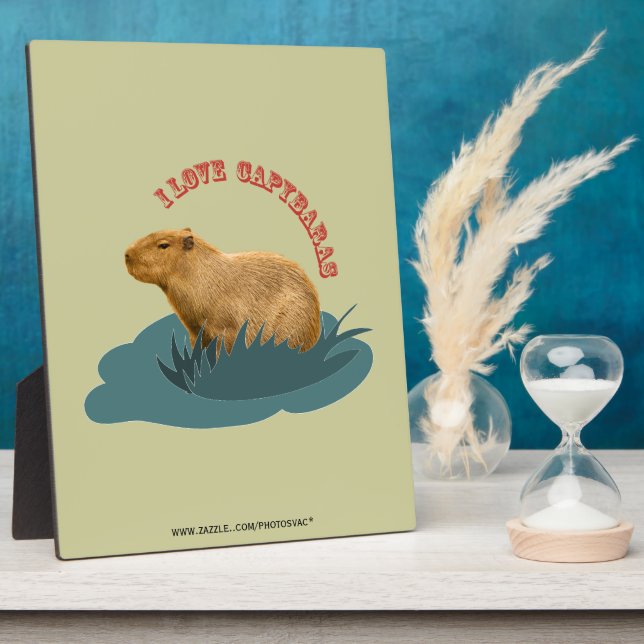 Amo las placas de capybaras (Lado)