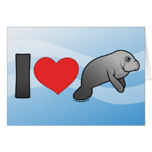 Amo Manatees