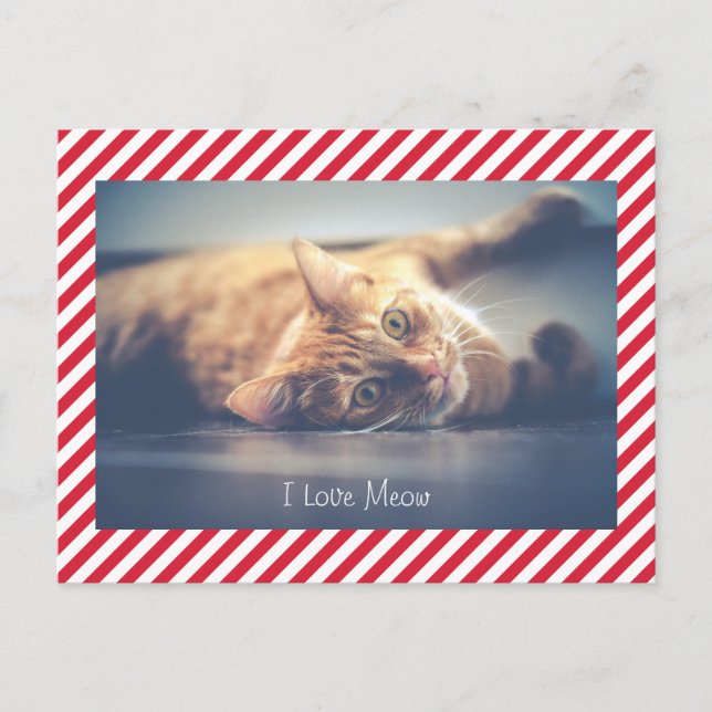 Amo Meow | Tarjeta postal de fotos de El día de Sa (Anverso)