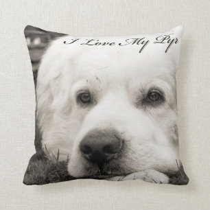 Amo mi almohada de Pyr