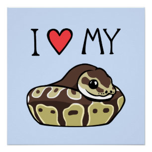 "Amo Mi Ball Python" Poster de dibujos de serpient