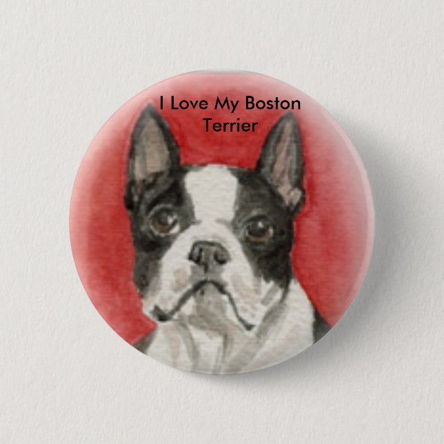 "Amo mi botón del arte del perro de Boston Terrier (Anverso)