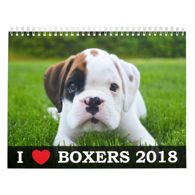 AMO MI CALENDARIO DE LOS BOXEADORES 2018 (Tapa)