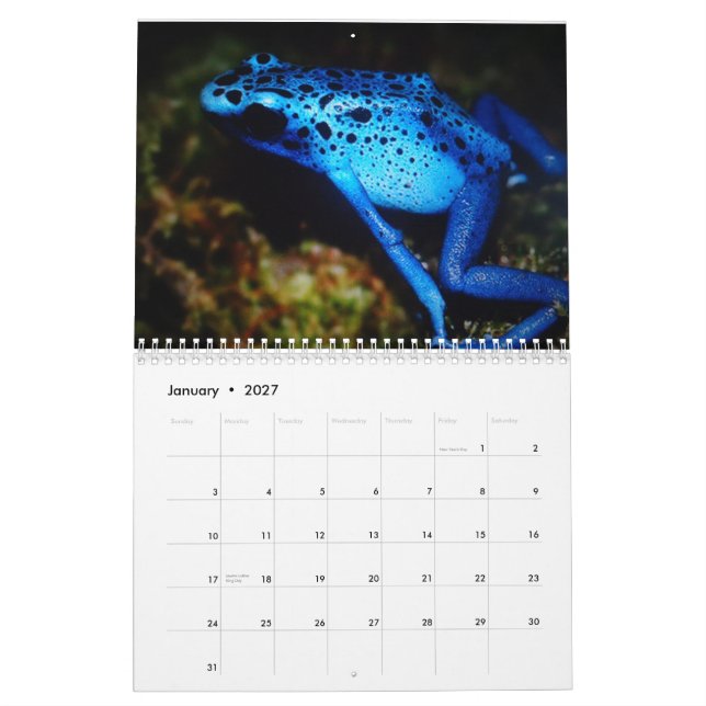 Amo mi calendario impreso personalizado de las (Jan 2027)