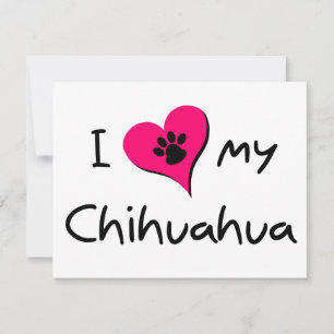 Amo mi Chihuahua