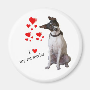 Amo mi imán de Terrier de rata