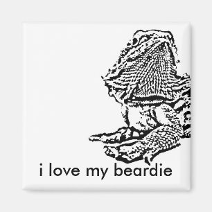 amo mi imán del beardie