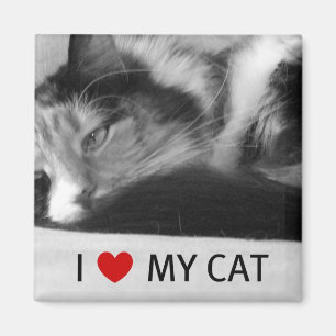 Amo mi imán del gato