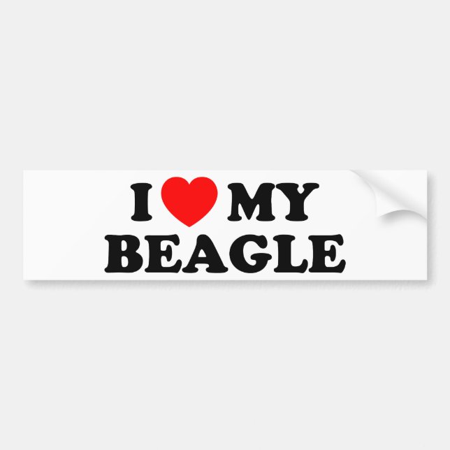 Amo mi pegatina de parachoques de Beagle (Frente)