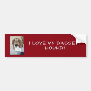¡Amo mi perro del Bassett!  Pegatina para el