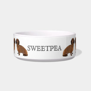 AMO MI PLATO DEL PERRO DEL DACHSHUND