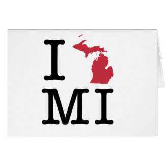 Amo Michigan