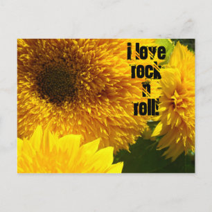 Amo Rock n Roll tarjetas postales Sunflower Bright