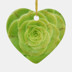 Amo Suculentos Ornamentos de Corazón Verde