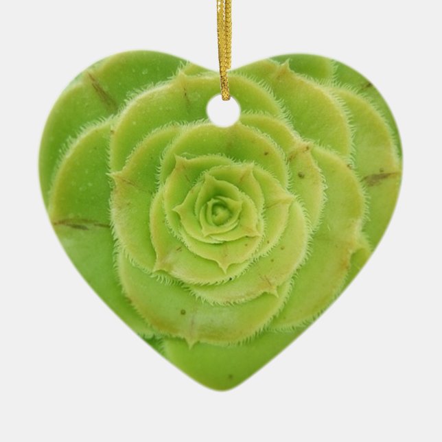 Amo Suculentos Ornamentos de Corazón Verde (Frente)
