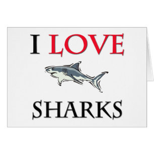 Amo tiburones