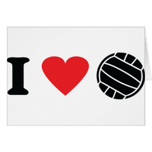 Amo voleibol