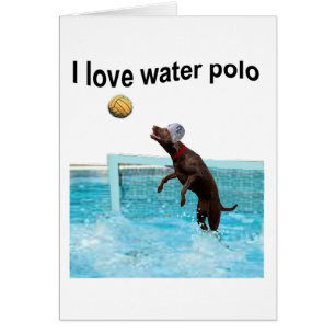 Amo water polo