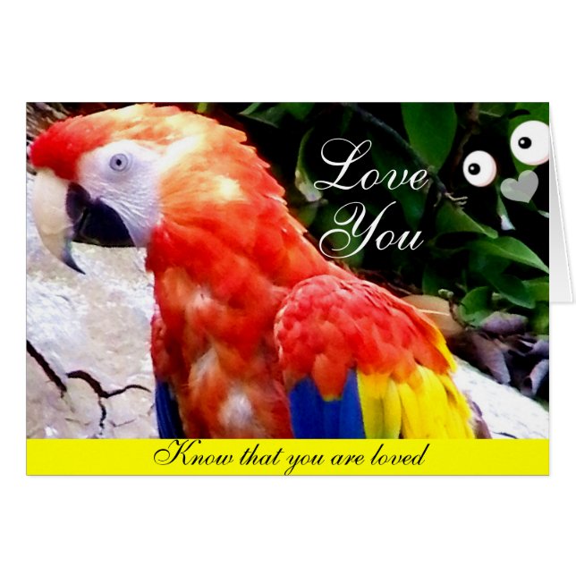 Amor_ (Anverso (Horizontal))