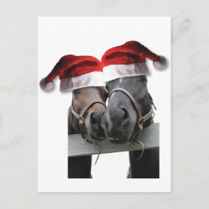 Amor a caballo y Feliz Navidad