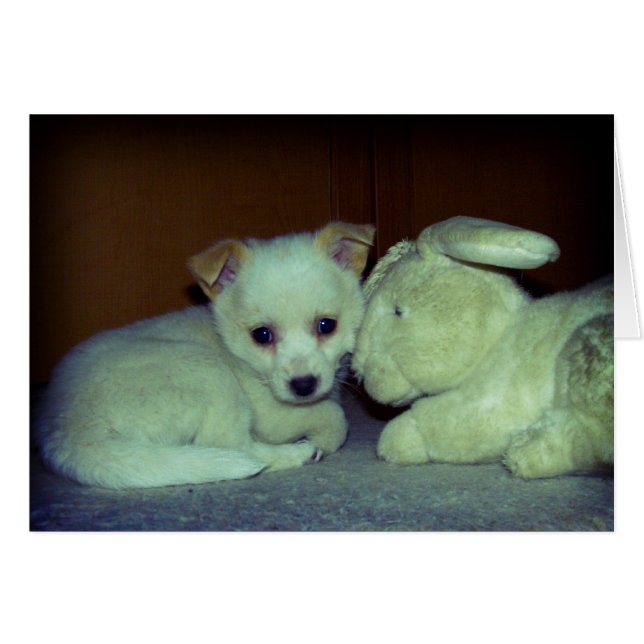 Amor a primera vista (Anverso (Horizontal))