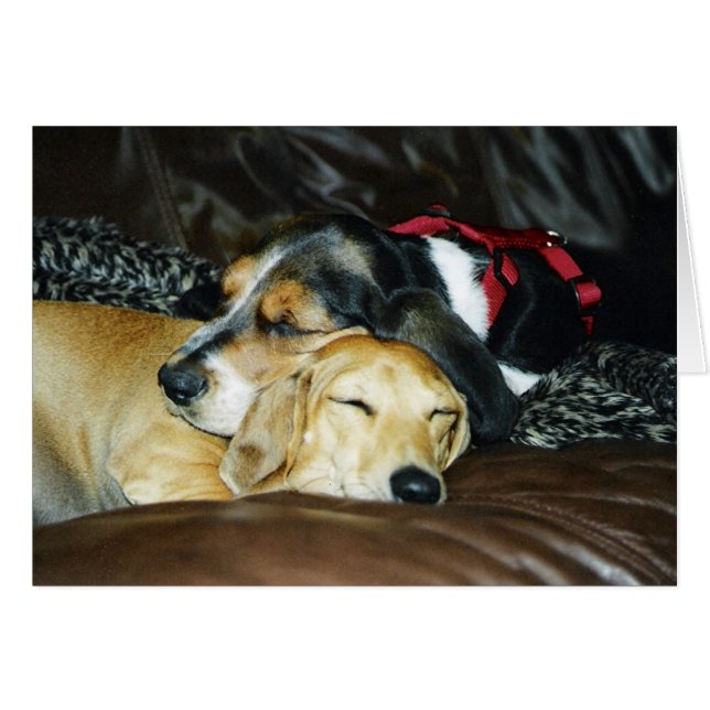 Amor adolescente (Anverso (Horizontal))