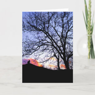 "Amor al atardecer" Pérdida de una tarjeta de simp