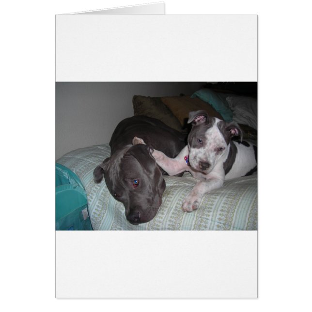 amor, amor, amor (Frente)