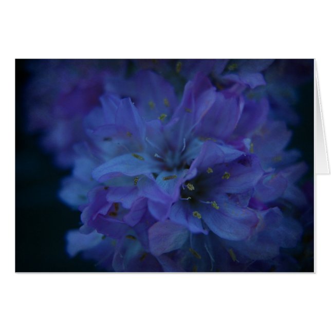 Amor azul (Anverso (Horizontal))